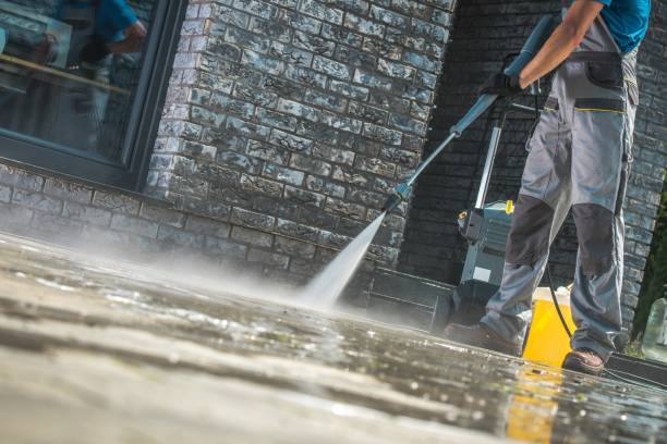 Best Animal Enclosure Cleaning  in Port Angeles East, WA